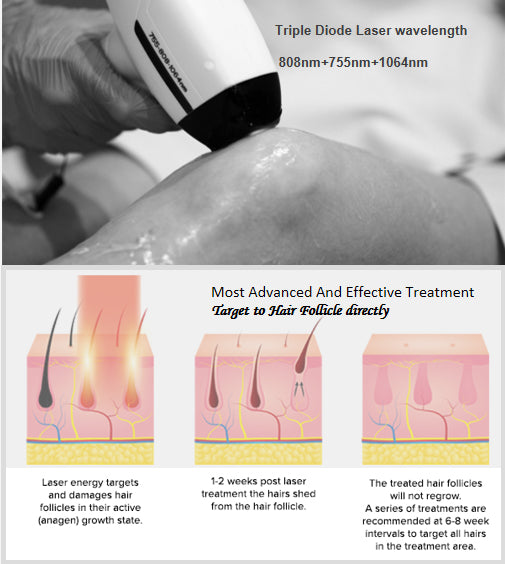 AI-Esthetician